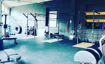 Physio Movement & Performance