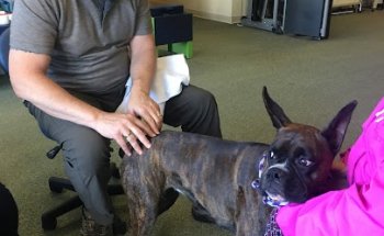 ABC Physical Therapy