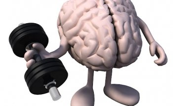 Neuro Rehab Connection and Brain PerforMAX