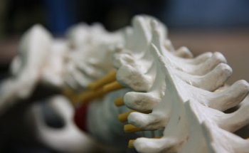 Sonoran Spine in Collaboration with HonorHealth