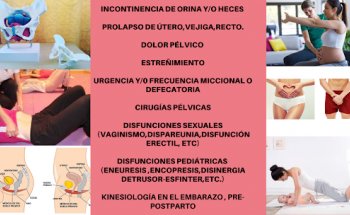 KINESIG Kinesiología Integral y Rehabilitación del Piso Pélvico