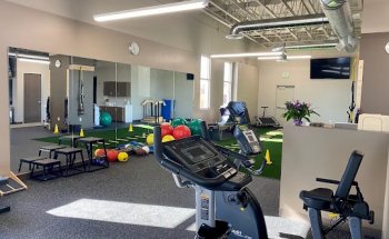 Pro Active Physical Therapy and Sports Medicine - Brighton