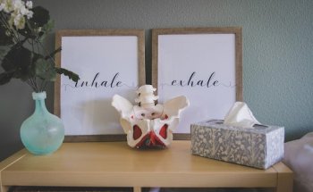 The Pelvic Floor Place