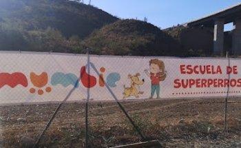 Mumbie Escuela de Superperros
