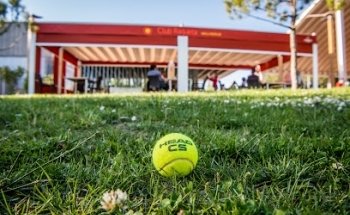 Club Raqueta Valladolid