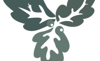 Wesley Woods Rehabilitation and Healthcare