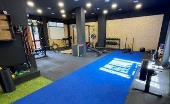 TreZe - Performance & Reconditioning