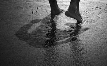 Centro Clinico del PIE