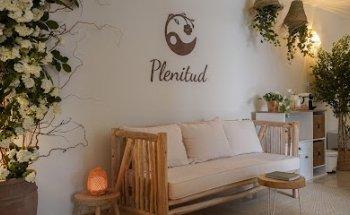 Plenitud Terapias Naturales. Masaje Embarazada, Prenatal, Postparto, Acupuntura, Flores de Bach, Astrología,