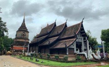 Asia Studio, Osteopatía (técnica integrativa)