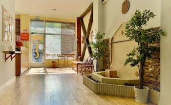 Centro Quiropráctico Hernán Novarini