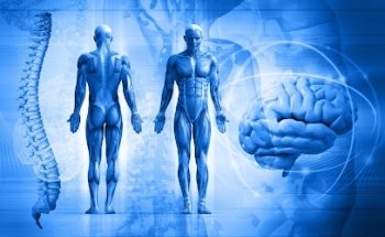 Studio Fisioterapico Dott. Carmine Cosentino