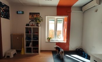 ChironeFisio del Dott. Mattia Corapi, Fisioterapista