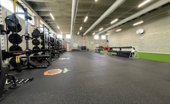 Sunflower Performance Training