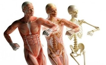 Matteo Gentili MASSOFISIOTERAPISTA-KINESIOLOGO-PREPARATORE ATLETICO