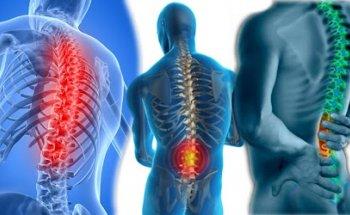 Clinica de Fisioterapia y Osteopatia Pedro Torres