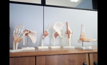 Centro Fisioterapico Crevalcorese M. Malpighi di Masini Andrea & C. Snc