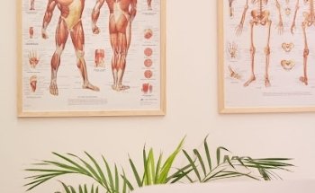 Dr. Orsini Matteo Fisioterapista Omt Personal Trainer