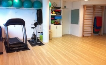 Fisiodynamik Fisioterapia Osteopatia