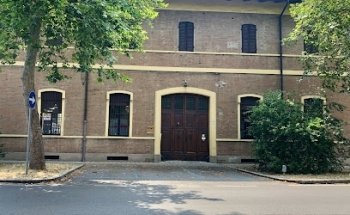 Dott. Davide Petito Fisioterapista - Modena