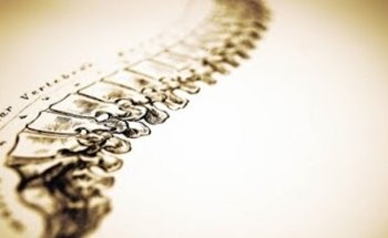 Lorenzo Vici Fisioterapista Osteopata