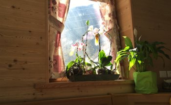 Dott.ssa Cristina Penzo