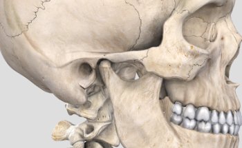 Dottor Marco Maglio Osteopata