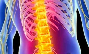 Ricerca e cura in Riabilitazione