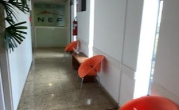 NEF-Núcleo de Excelência em Fisioterapia