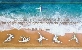 Chiropratico-Fisioterapista - Dott. Francesco Vanni - Lucca