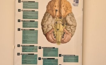 Fisioclinic di Luciano Marchese