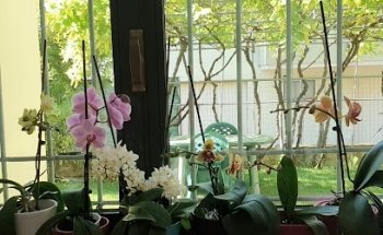 Nicoletta Ferrari Fisioterapista