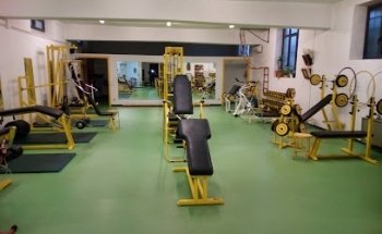 Palestra Gymnasium Direttore Prof.Nando Del Forno Centro FisioKinesiTerapico