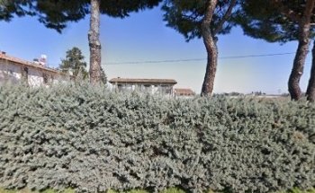 Aneco Physiotherapists Savorani Andrea & C. Snc