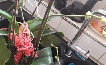 Centro terapie Travasino