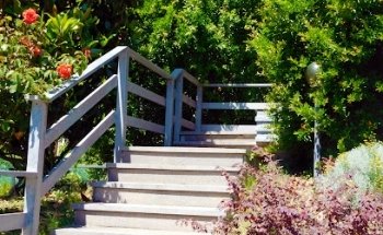 Dr Danilo Casali - dott. in fisioterapia e in osteopatia