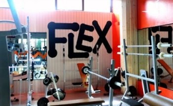 Palestra Flex di Sammartino Eros