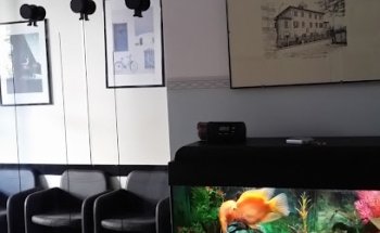 Studio Massofisiokinesi Terapico Ed Osteopatico Zennaro Francesco