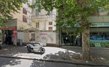 Therapy & Sport Wellness