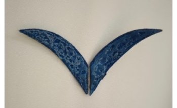 Centromosè fisioterapia e ambulatori polispecialistici