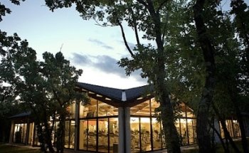 Avalon Wellness and Medical Center