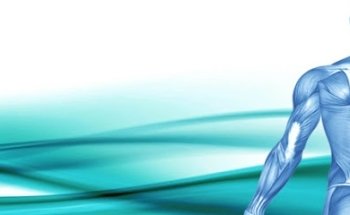 Centro Medico Di Ortopedia E Fisioterapia Graziano Srl