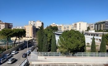 Sports Medicine Center