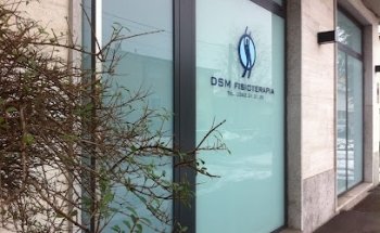 DSM Fisioterapia