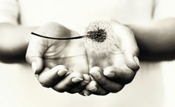 Poliambulatorio ES Istituto di Medicina Integrata