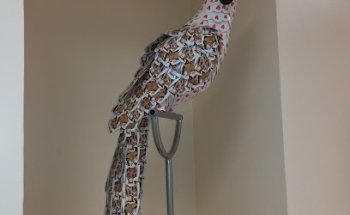 Clinica Pinna Pintor