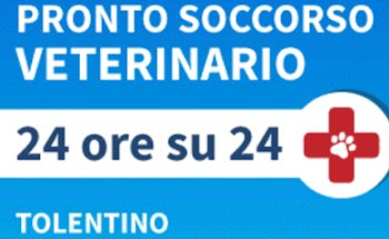 Futuravet Clinica Veterinaria - Pronto soccorso H24 - TAC - RM - Oncologia