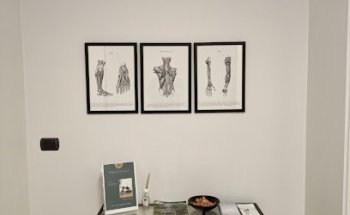 Osteopata Dott. Baldassari Alessandro