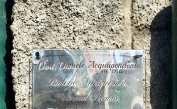 Dott. Daniele Acquapendente - Biologo Nutrizionista & Personal Trainer
