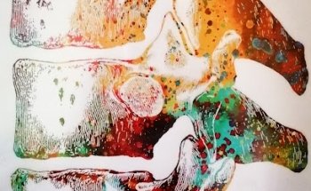 Osteopata Torino Matteo Castiglia Osteopata D.O.